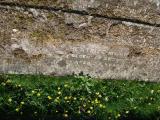 image of grave number 538509